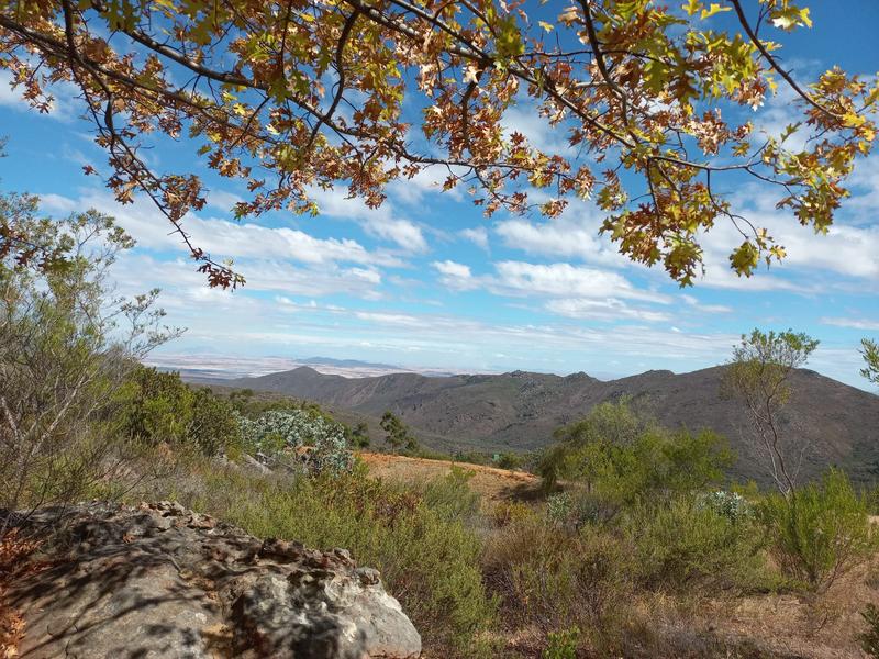 4 Bedroom Property for Sale in Piketberg Rural Western Cape